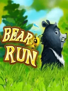 Bear Run